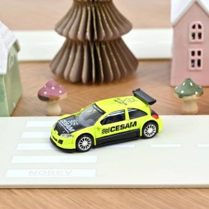 Renault Megane Trophy CESAM